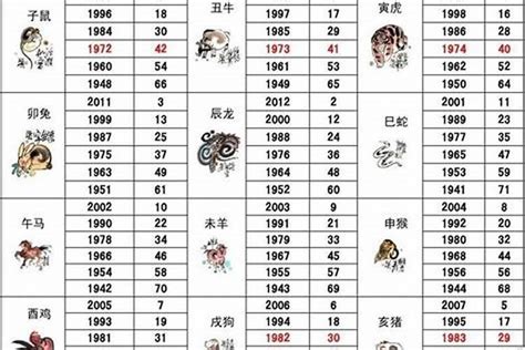 96年属相|1996年属什么生肖？属鼠人的命运解析